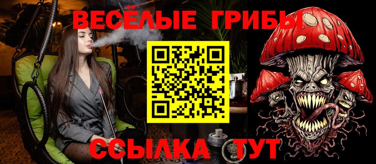 Галлюциногенные грибы GOLDEN TEACHER  цена   Псилоцибиновые грибы мицелий  Электрогорск  Вход с VPN 