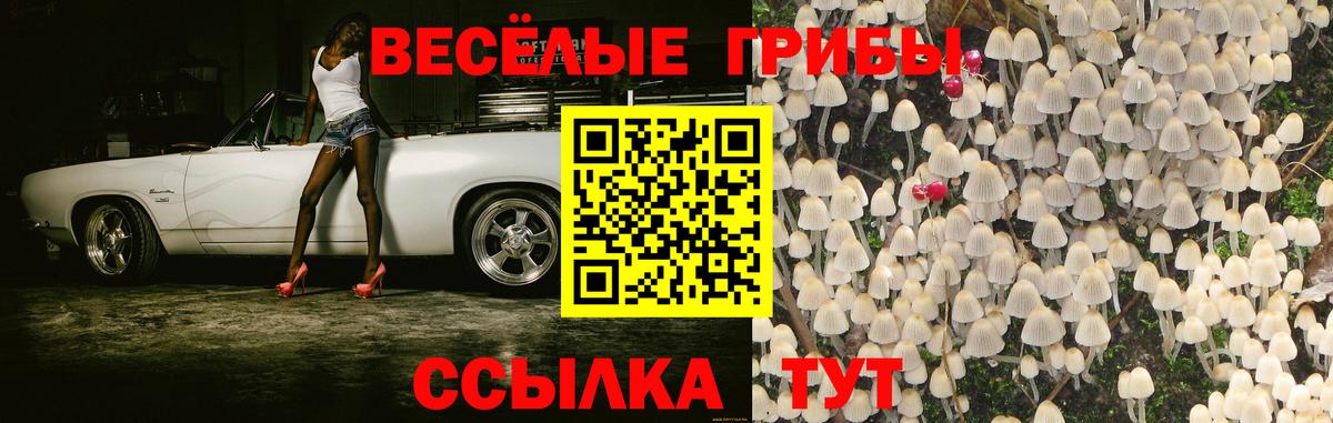 Галлюциногенные грибы ЛСД Электрогорск